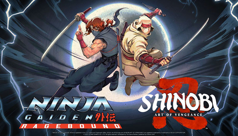 Path of the Ninja Bundle