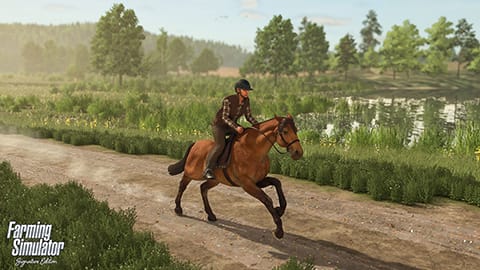 『ファーミングシミュレーター：シグネチャーエディション』